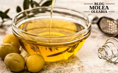 ¿Qué aceite de oliva elegir?, ¿cómo diferenciar los aceites de oliva?