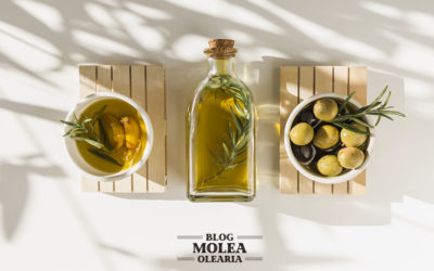 7 beneficios que nos aporta el aceite de oliva.
