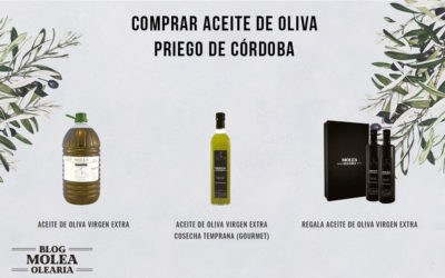 COMPRAR ACEITE DE OLIVA DE PRIEGO DE CÓRDOBA.